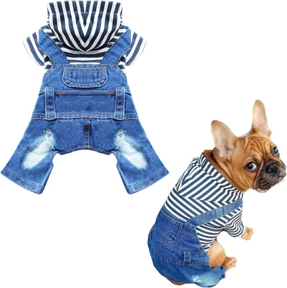 Doggyzstyle authentic imported pet clothing stylish cowl neck hood snap feature