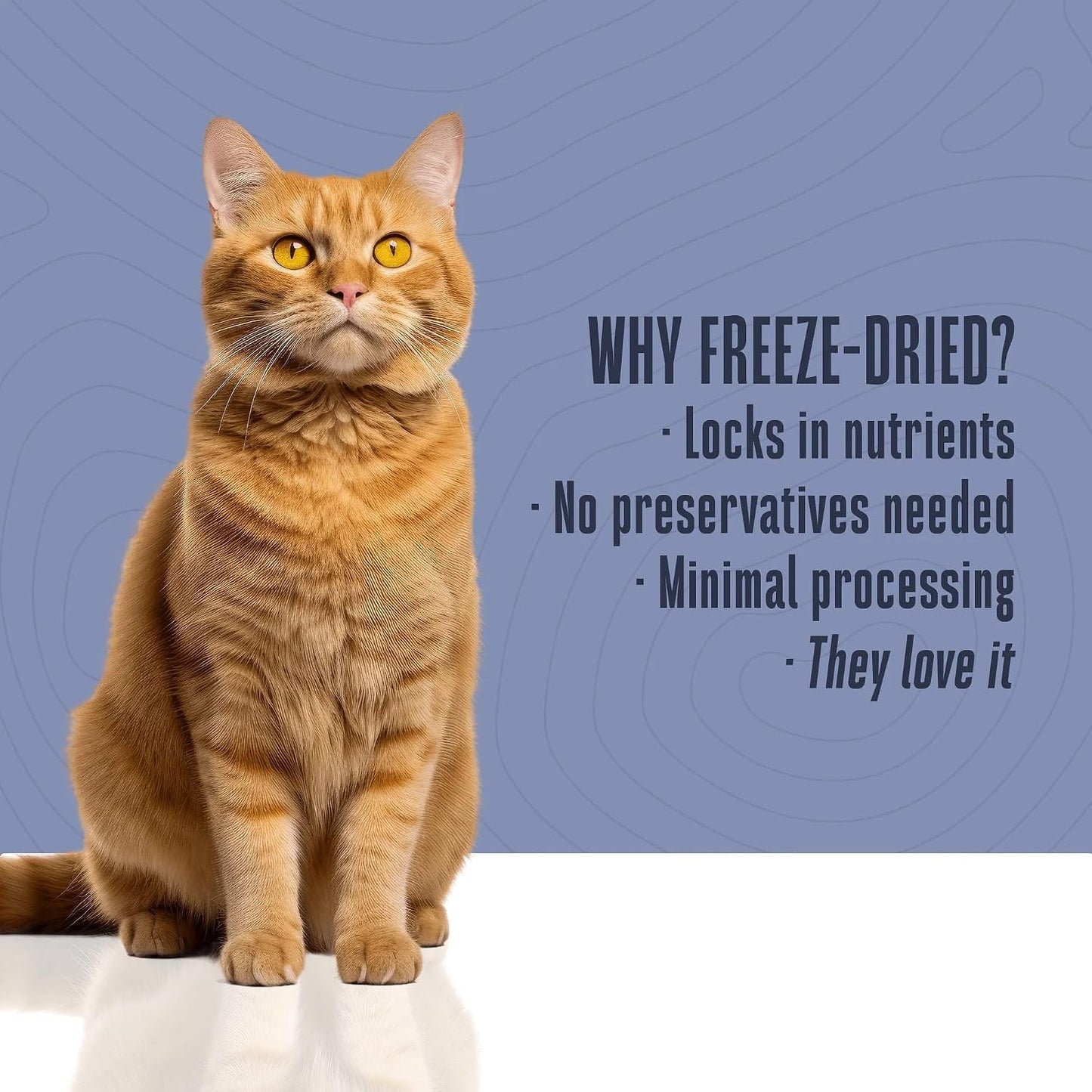 High protein freeze dried shrimp used as a cat food topper