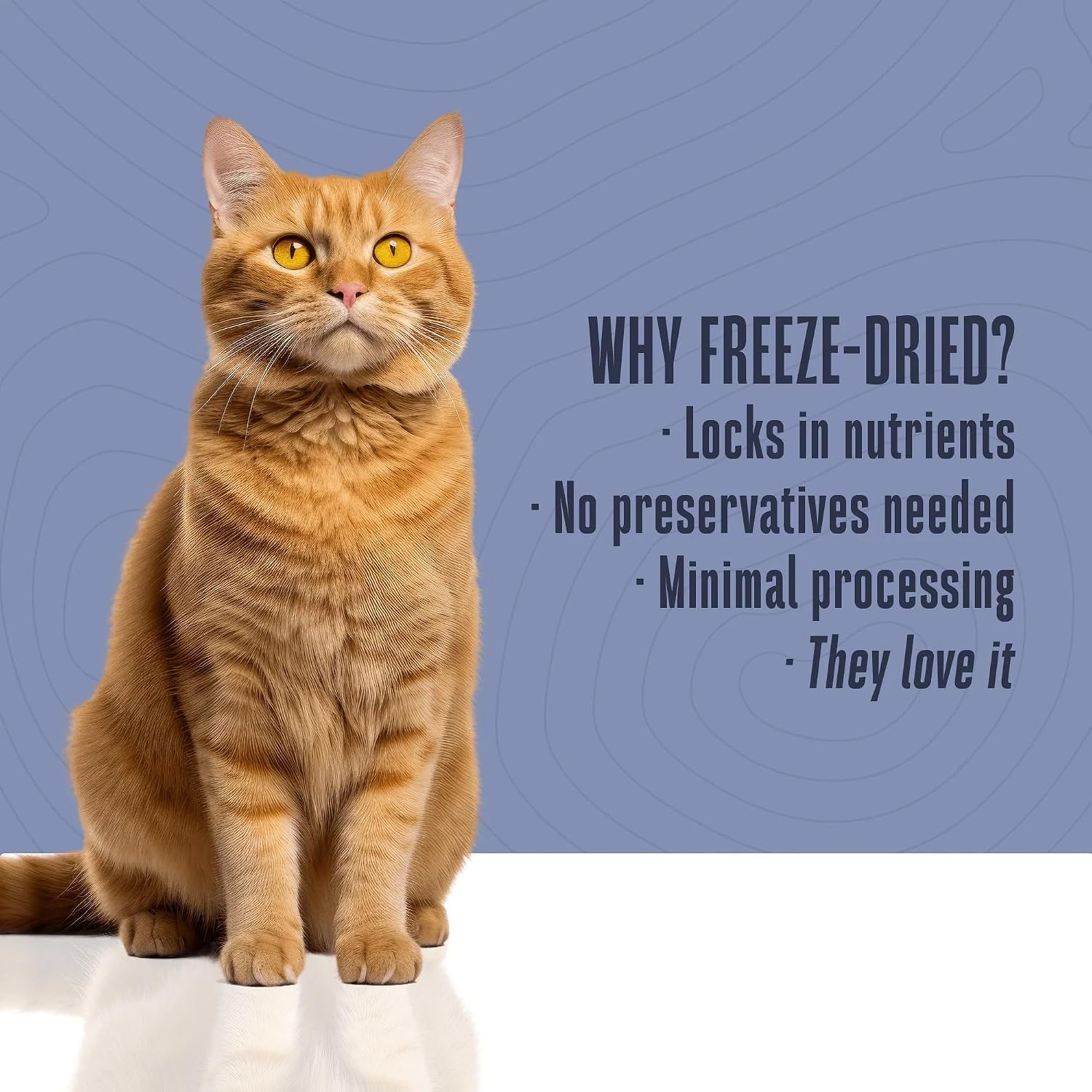 High protein freeze dried shrimp used as a cat food topper