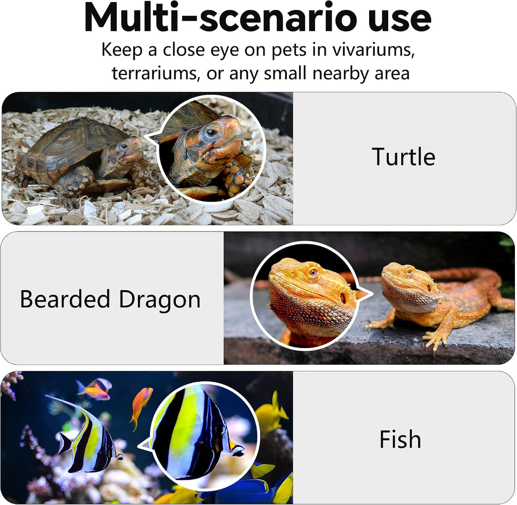 Smartphone screen showing the live video feed from the SnapBud smart camera app with a pet detection alert.