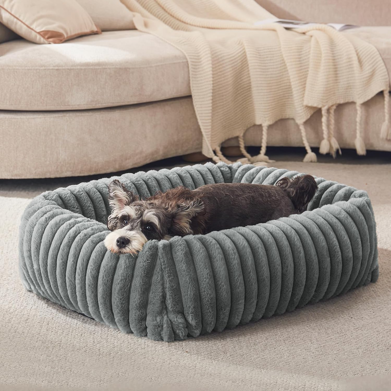 FURTIME Dog Bed for Small Dogs, Washable Orthopedic Dog Cat Bed with Removable Cover, Rectangle Soft Calming Sleeping Puppy Bed Durable Pet Cuddler with Anti-Slip Bottom, Grey, S (20"x19"x6") - Image 1