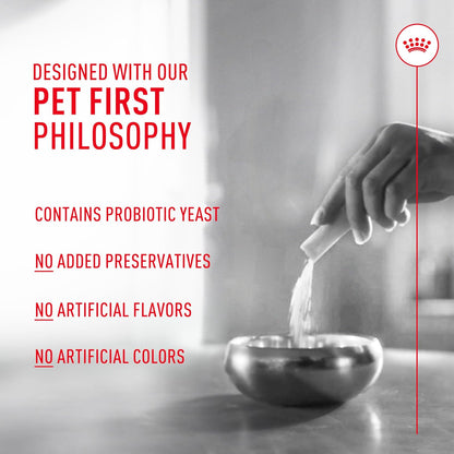 Tasteless nutritional powder for canine gastrointestinal microbiome resilience