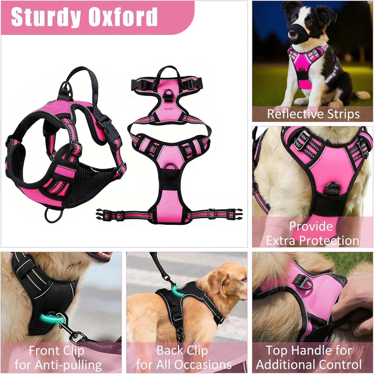 Pink checkered dog harness with metal D-rings
