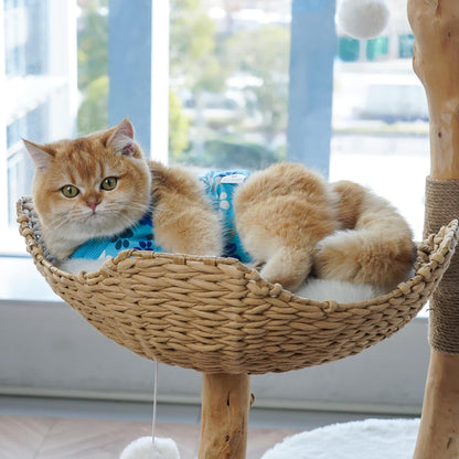 COZYDOODZ cotton blend cat recovery garment laid flat to show the stretchable fabric design.