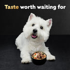 Cesar slow cooked chicken and beef entree wet dog food ingredients view