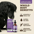 Back 40 Dogs liquid collagen supplement purple label showing ingredients like biotin and MSM
