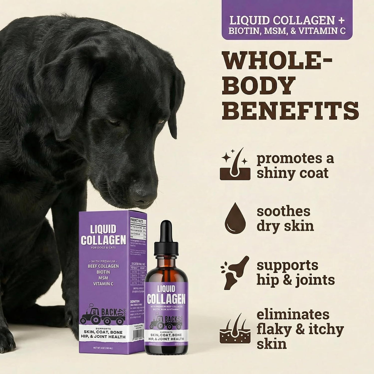 Back 40 Dogs liquid collagen supplement purple label showing ingredients like biotin and MSM