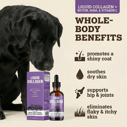 Back 40 Dogs liquid collagen supplement purple label showing ingredients like biotin and MSM