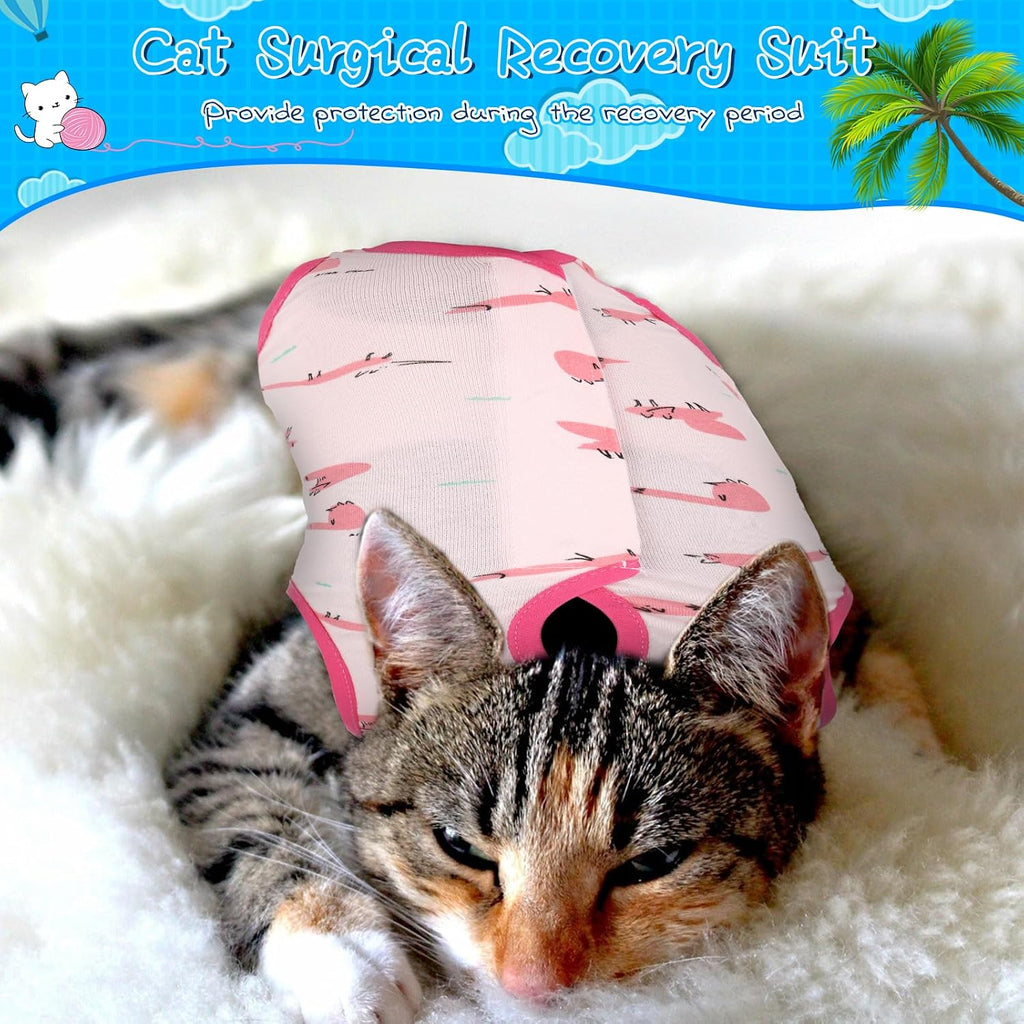 Kacctyen premium cat surgical suit set for feline incision care.