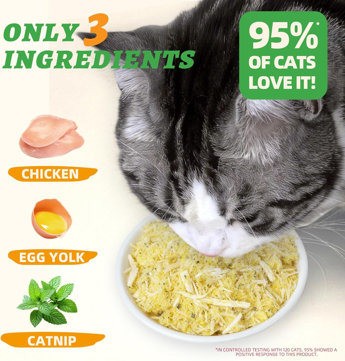 Freeze dried catnip treats spilled next to a pet food bowl as a meal topper