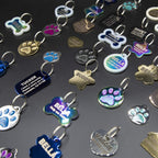 PetANTastic round paw print cat identification tag with split ring attached