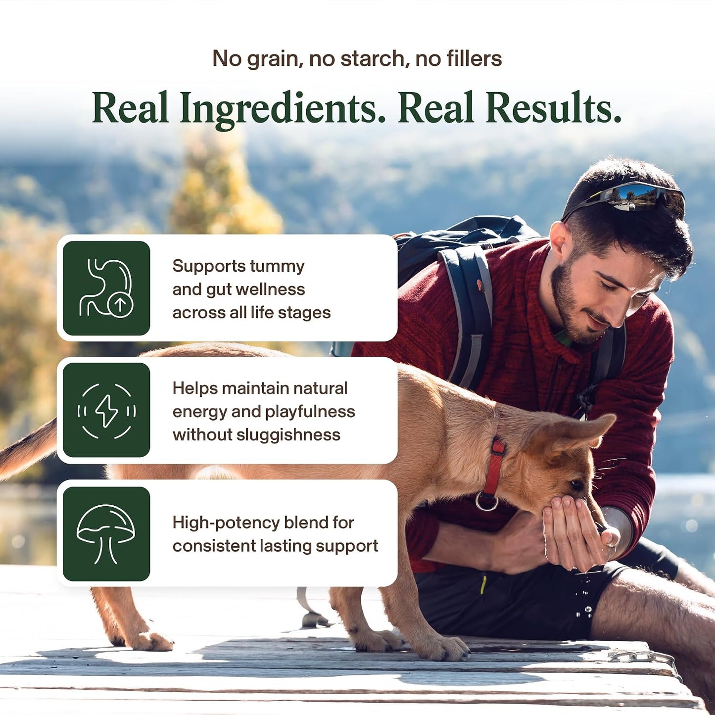 Weight-based dosage guide on the back of Real Mushrooms pet chews container.
