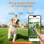 Meowant electronic pet containment collar with training remote control.