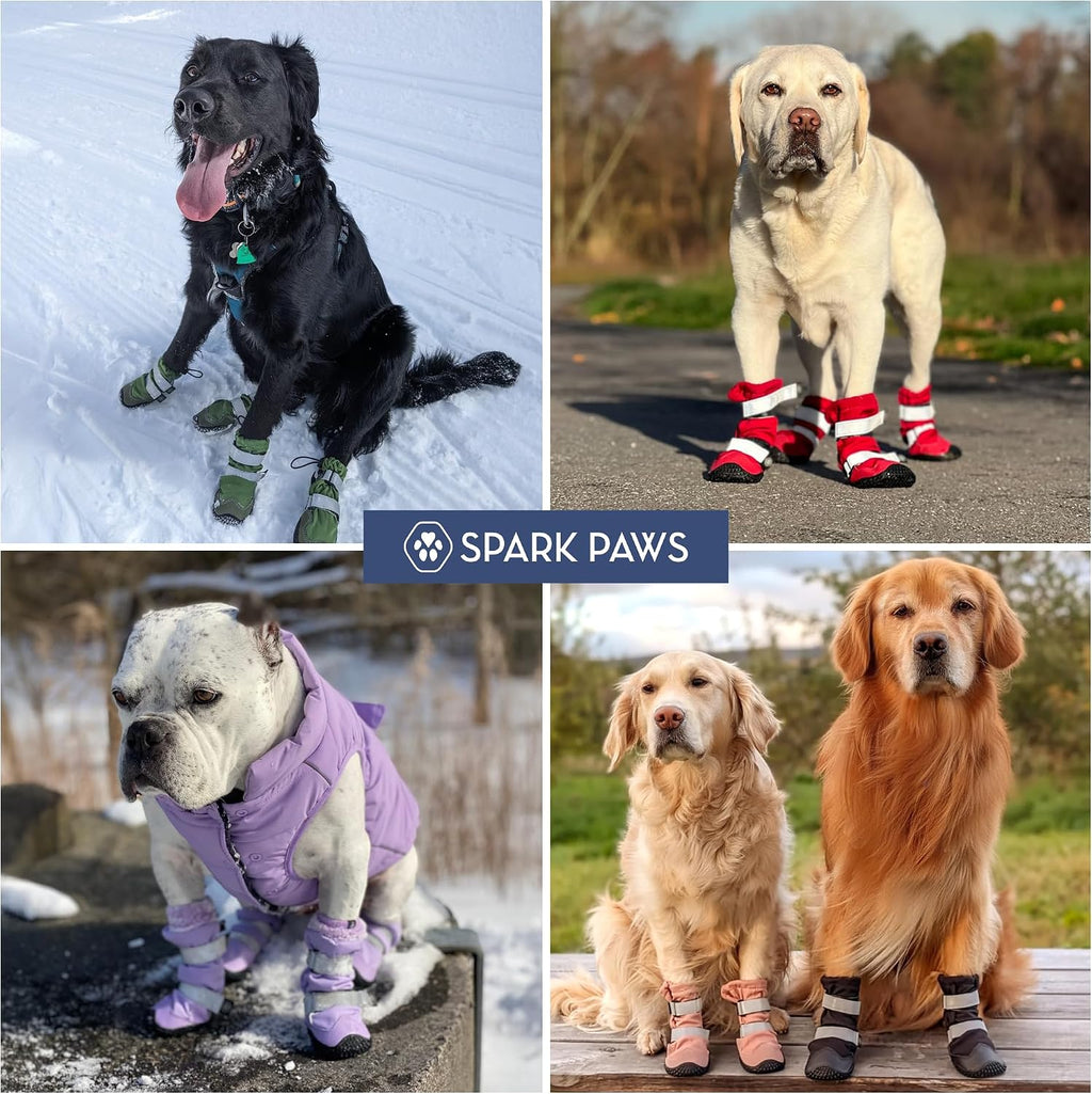 Four pieces of dog rain boots arranged to show water resistant exterior.