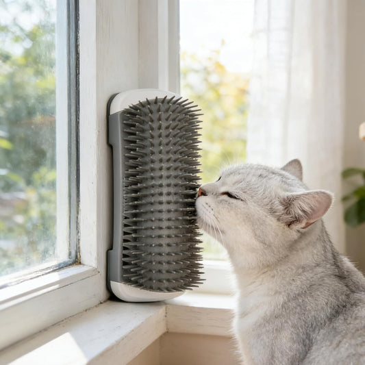 Dhgate self cleaning pet grooming brush front view mounted on a room wall corner