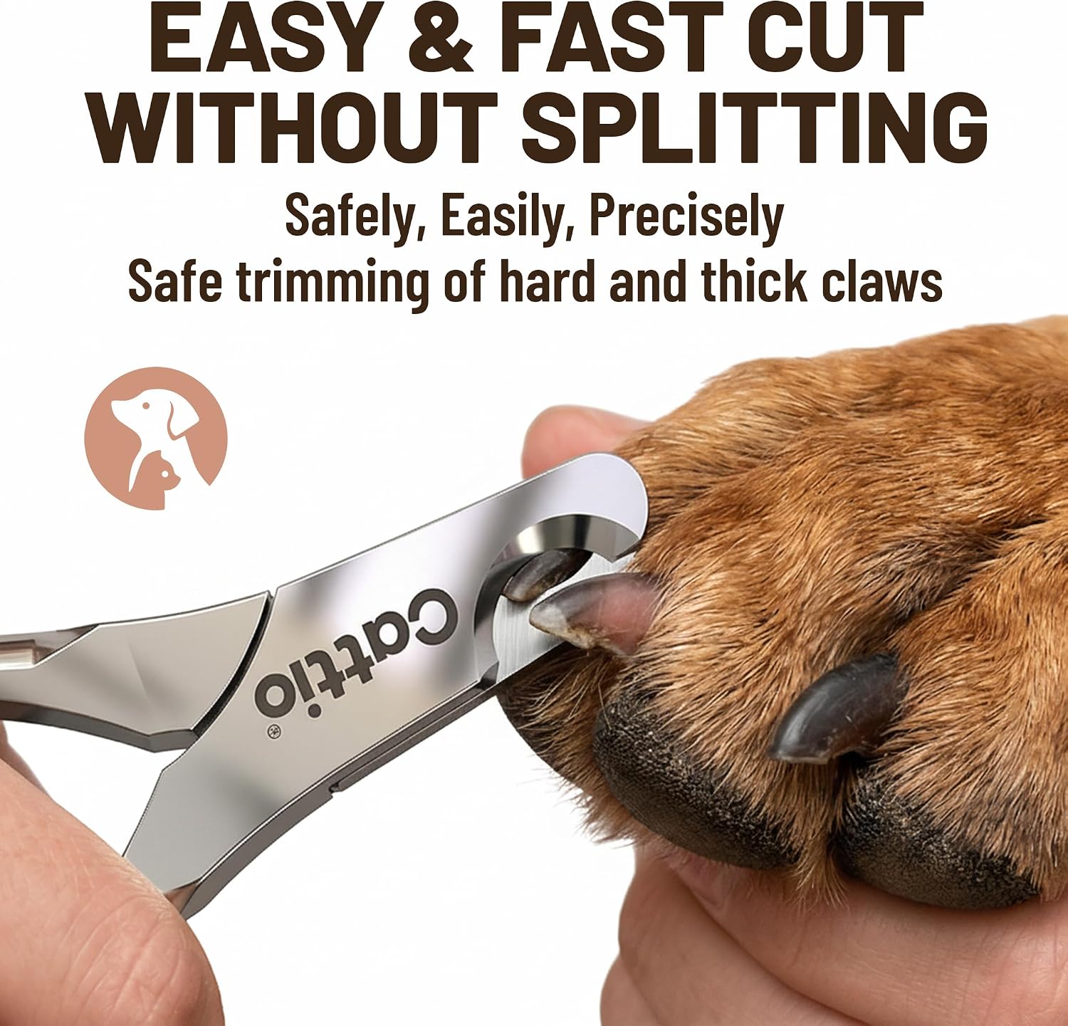 Cattio dog nail clippers in professional glossy finish
