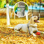 NTR outdoor camping and hunting dog lead durable polyester material