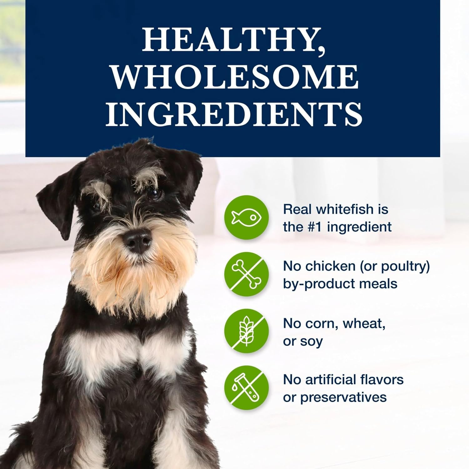 Authentic Blue Buffalo therapeutic dog food packaging displaying real whitefish protein benefits