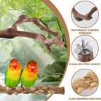 LIMIO 6-Piece Bird Perch Set - Natural Wood Grape Sticks, Paw Grinding Forks, Bird Stand & Toys for Parakeets, Cockatiels, Conure, Budgies - Image 3