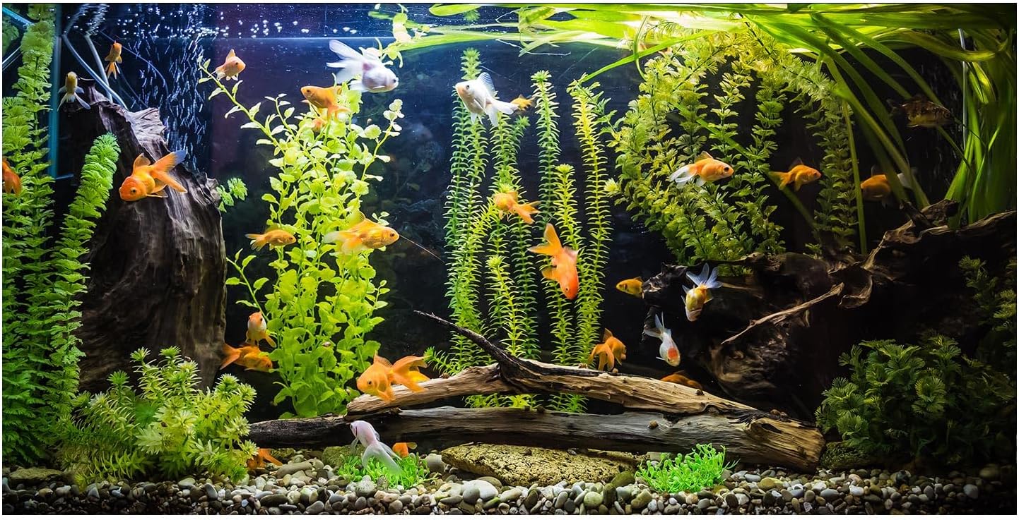 Premium imported fish tank background thirty six by eighteen inches