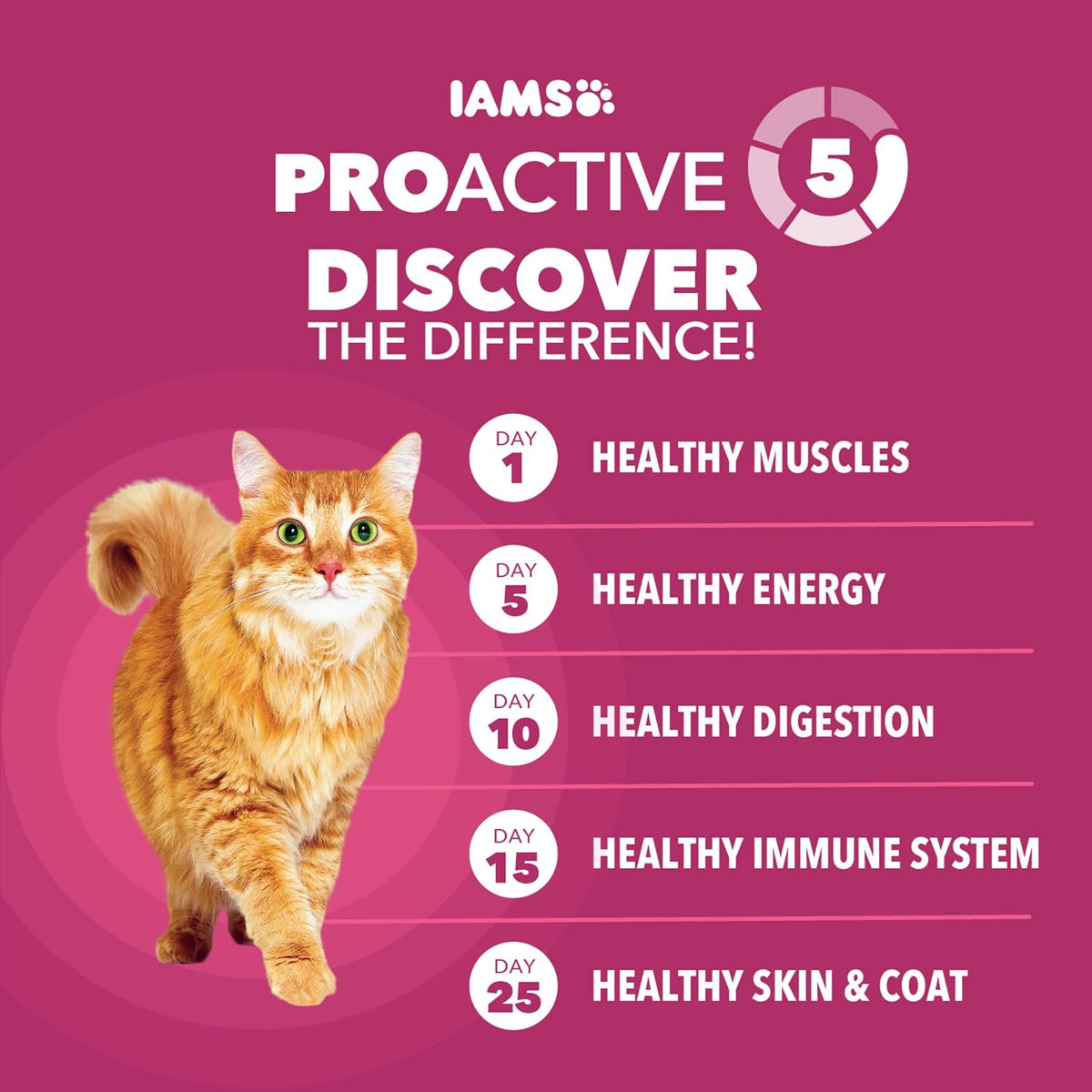 IAMS Proactive Health cat food key features and benefits panel