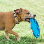 Durable flexible rubber fetch toy for active dogs