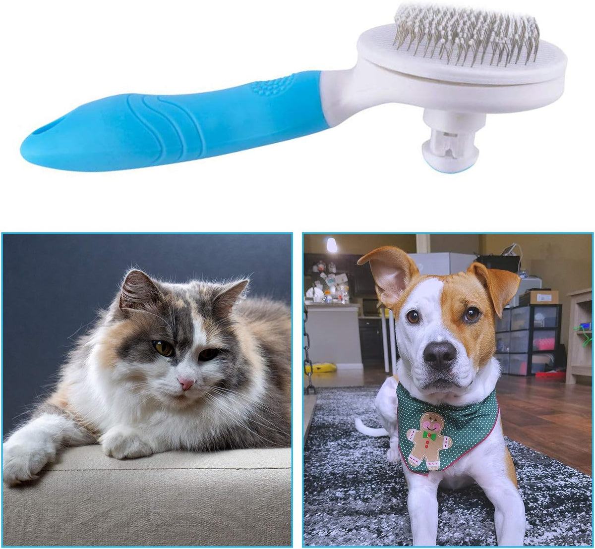 Cleaned pet brush showing collected loose fur ready for disposal