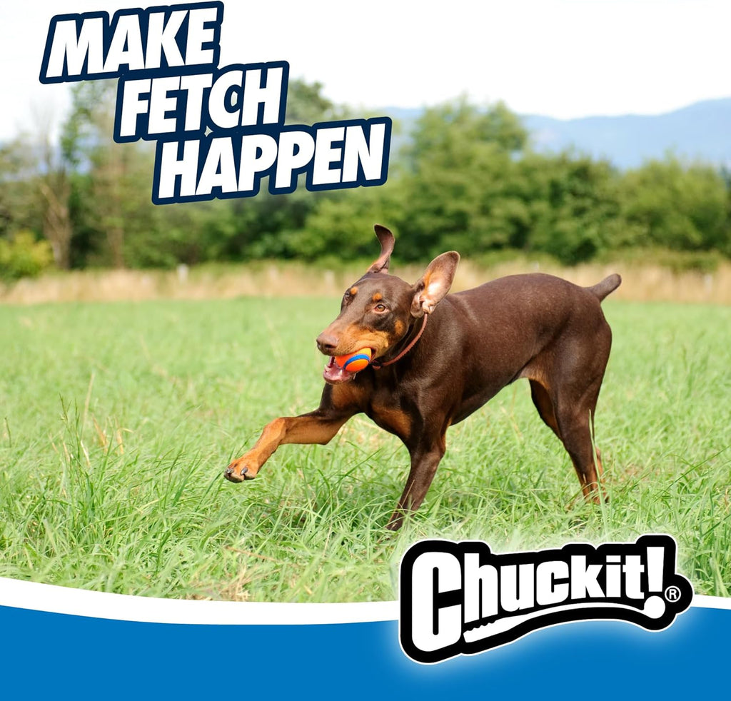 Chuckit! Ultra Ball floating in water for dogs