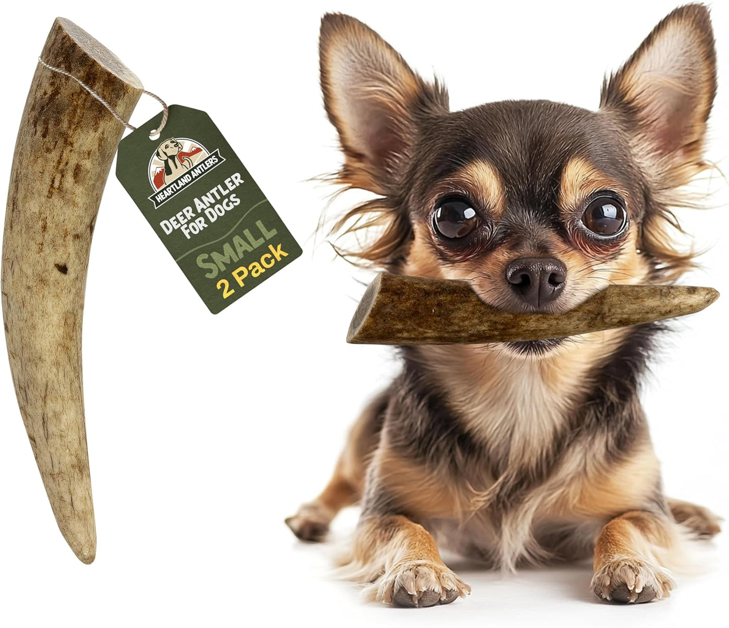 Heartland Antlers Whole Deer Antler for Dogs, Large 6-8 Inch Long Lasting Dog Chew for Aggressive Chewers, Naturally Shed Grade A, USA Sourced, Odor Free, 45-65 lb Breeds, 1-Pack - Image 11