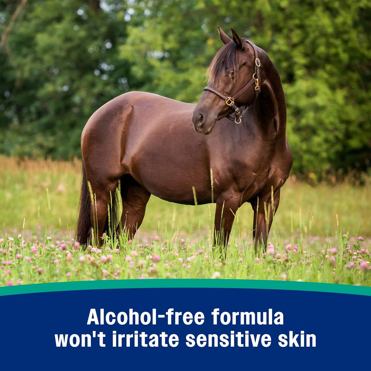 Authentic USA sourced pet and horse grooming supply