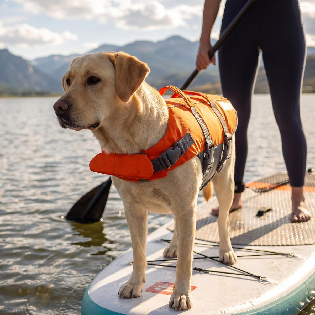 Packaging and authentic USA imported pet gear display