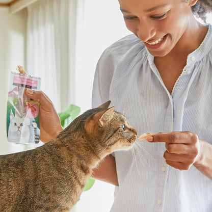 Hand-cut grilled chicken fillet cat treat pouch