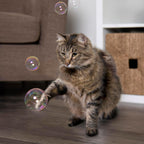 Overhead angle of the SmartyKat non-toxic catnip bubble solution bottle