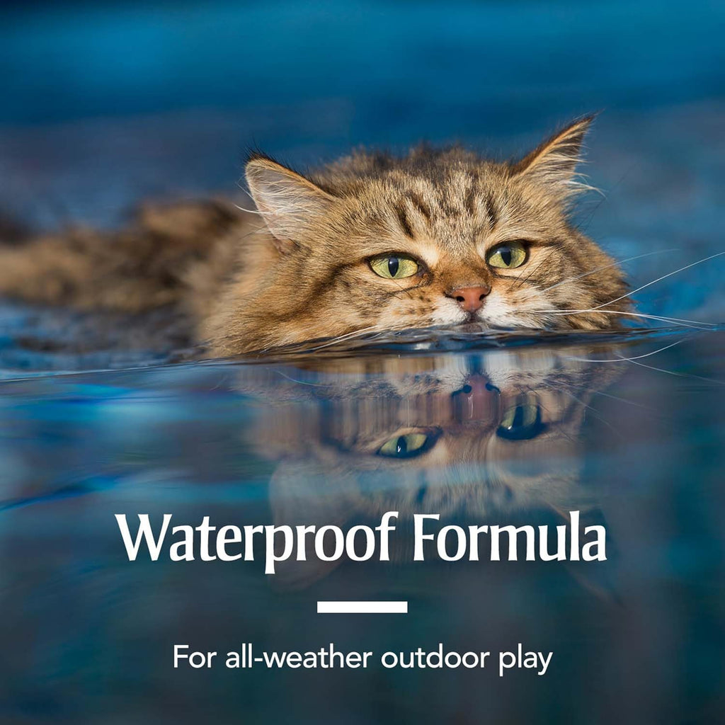 Monthly topical defense drops for kittens over eight weeks