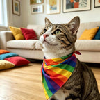 Tinsow Rainbow Pet Bandana tied comfortably around a small dog for festive events.