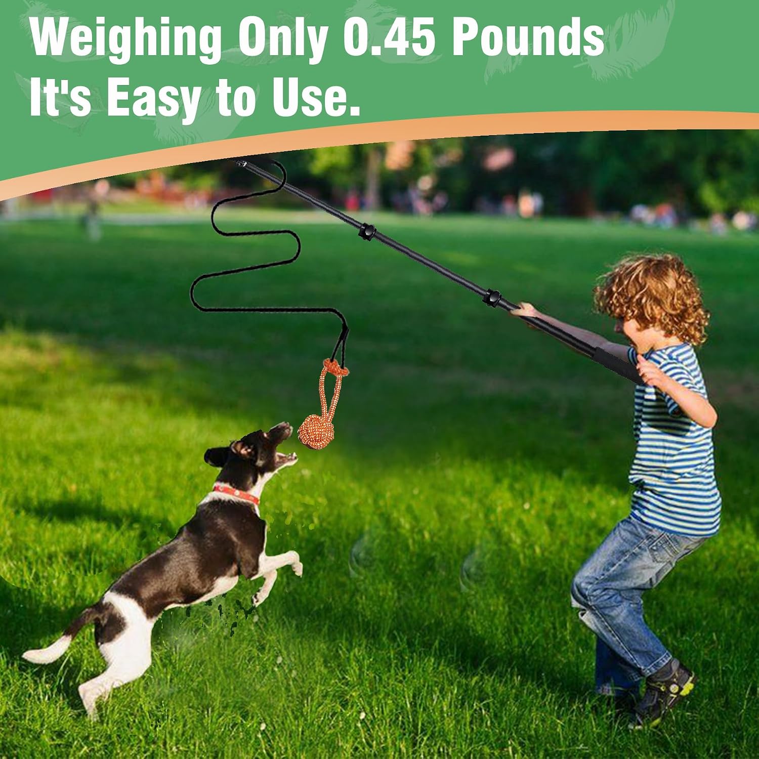 SailStart flexible exercise pole for medium and large dogs demonstrating elastic bungee shock absorber