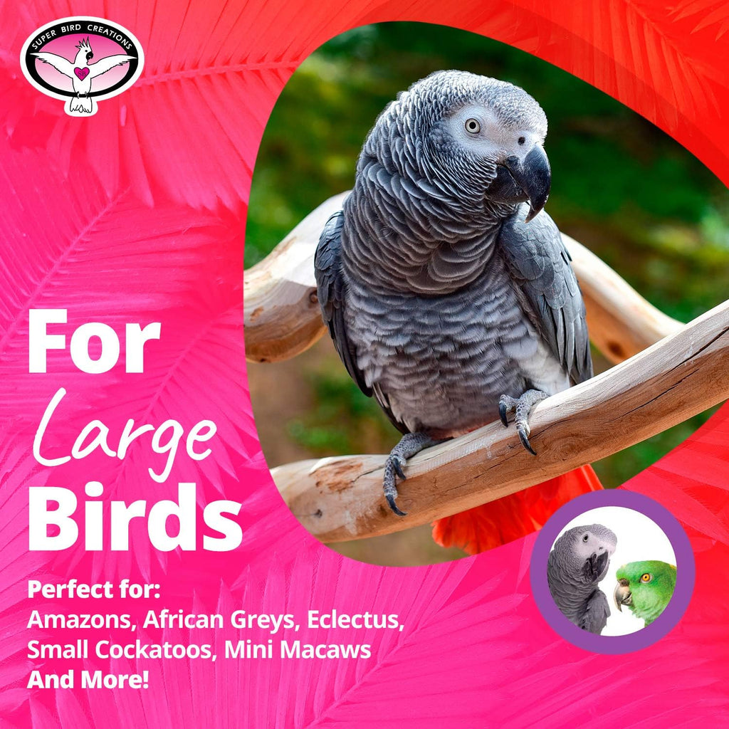 Super Bird Creations large parrot toy hanging in cage