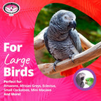 Super Bird Creations large parrot toy hanging in cage