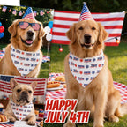 Polyester material texture of Icemood 250th anniversary pet accessory