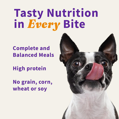 Halo Pets freeze dried raw beef meal bites texture close up view
