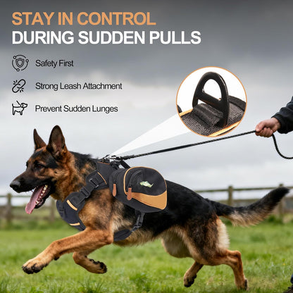 Durable 900d Oxford material texture of Xuvira pet harness
