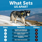 Nature Target dog skin and coat supplement packaging illustrating EPA and DHA fatty acid benefits.