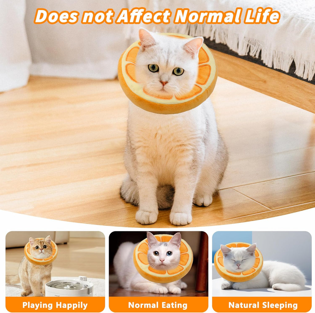 Small cat easily drinking water from a bowl while wearing the Maiiu soft protective cone.