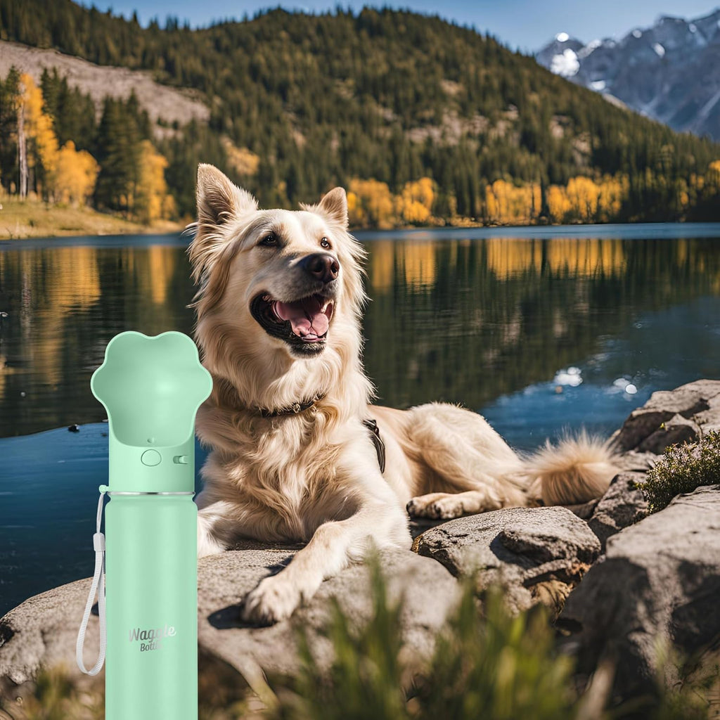 Scratch resistant powder coated pet travel accessory in pastel green mint color.
