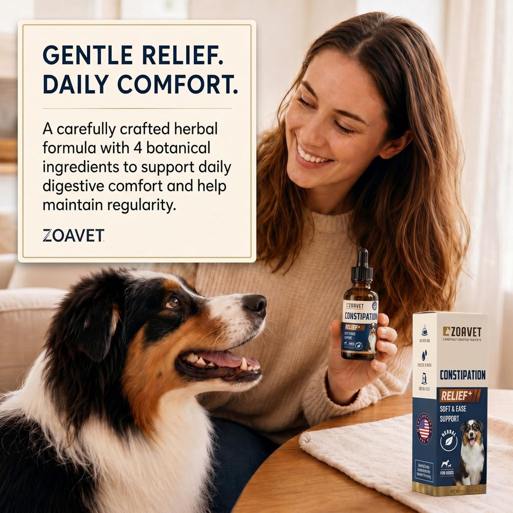 Lifestyle shot of Woof 'n' Purr pet constipation relief solution