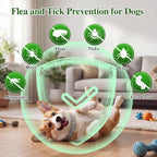 Side profile of dog wearing natural flea repellent collar