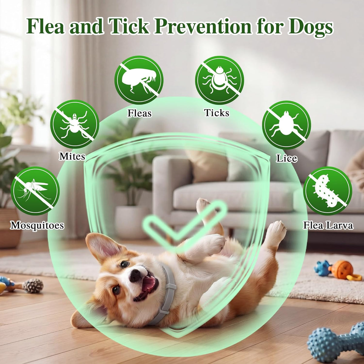 Side profile of dog wearing natural flea repellent collar