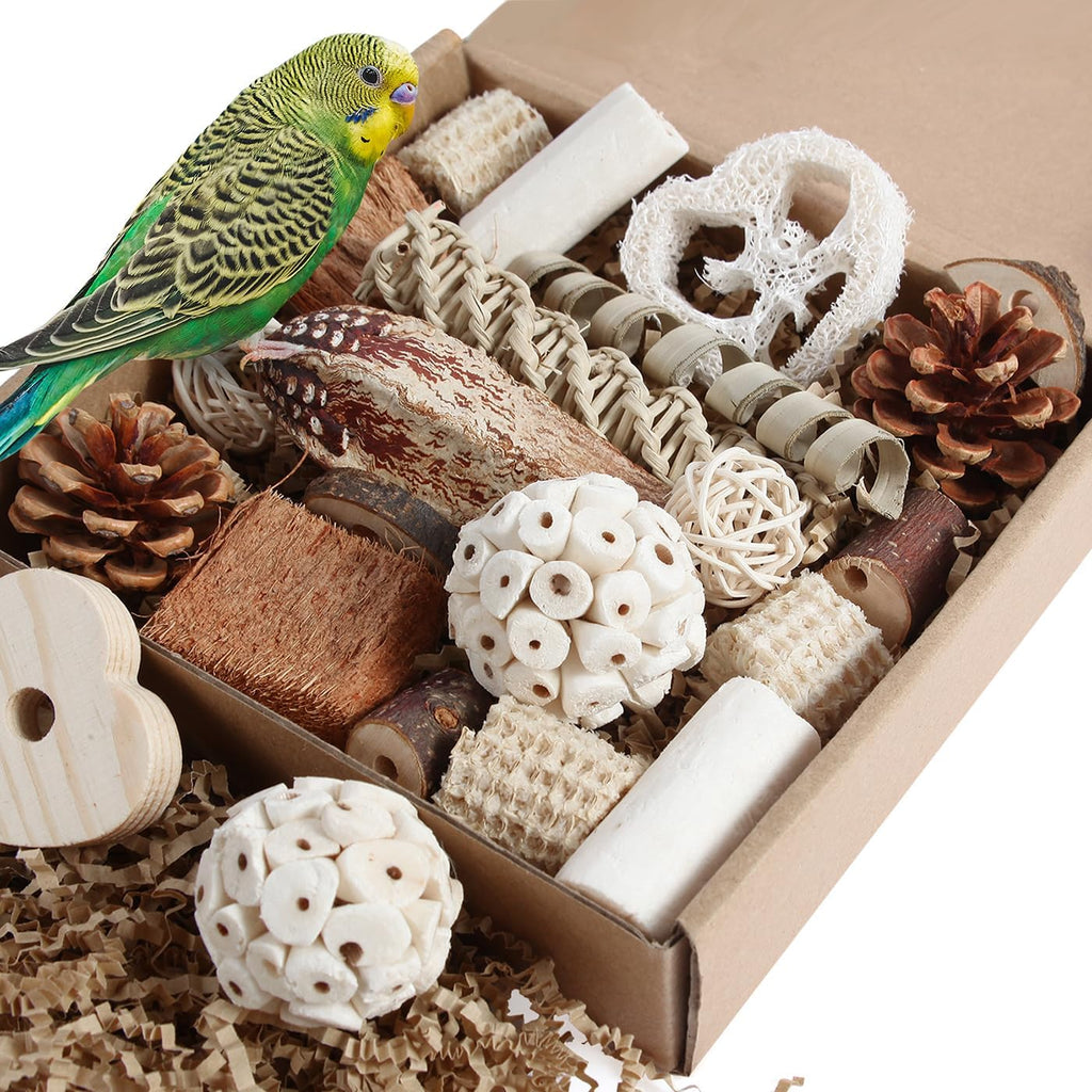 Kyouki natural bird foraging box front view