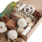 Kyouki natural bird foraging box front view