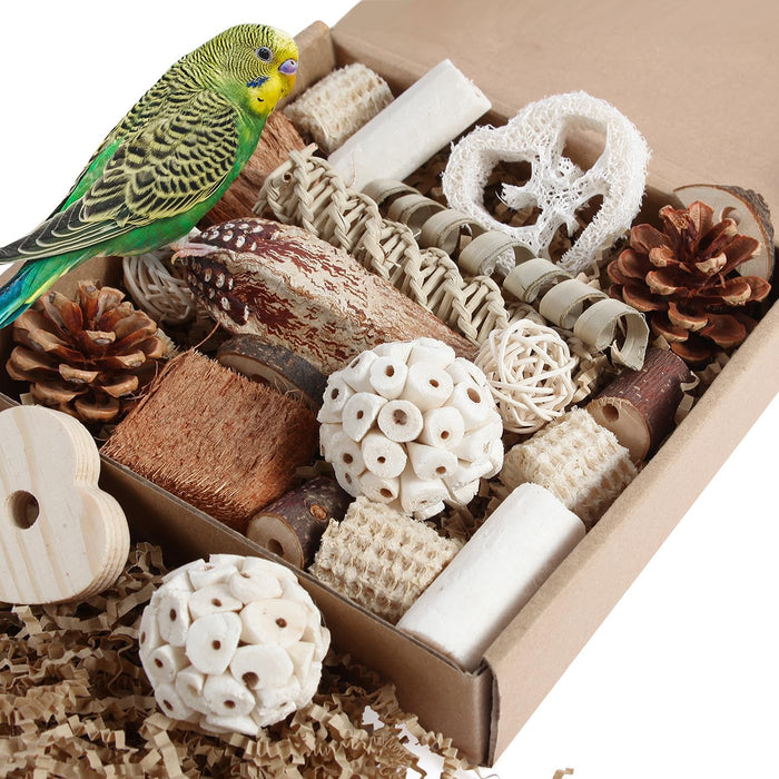 Kyouki Bird Toys Parrot Toys Natural Bird Foraging Box Foot for Parakeets,Cockatiels,Conures,Love Birds,and Other Small to Medium Birds (Medium) - Image 1